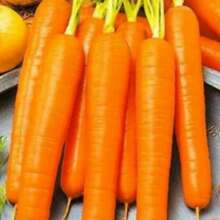 Аватарка для объявления: Свежий картофель, морковь, капуста и свекла весной