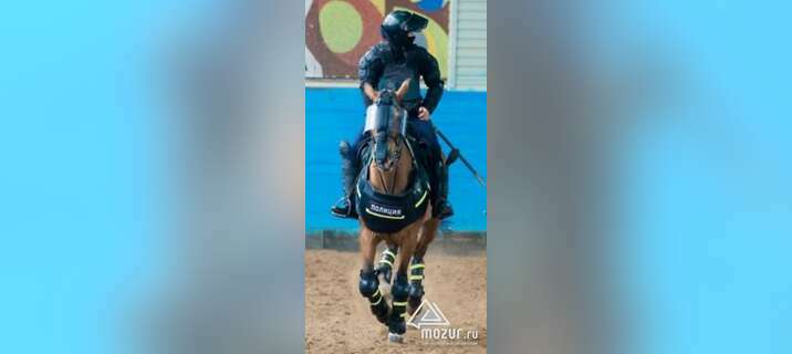 Полицейский кавалерист в конную полицию в Москве