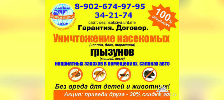 Уничтожение насекомых и грызунов в Омске
