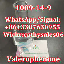 CAS 1009-14-9 Valerophenone Liquid