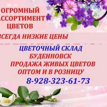 Цветочный склад, опт-розница, низкие цены Буденновск