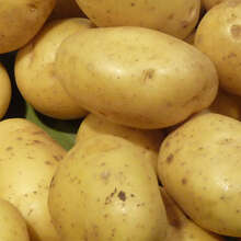 Овощи оптом