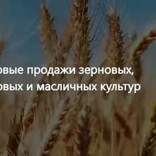 ООО Агропром - оптовая реализация продуктов питания