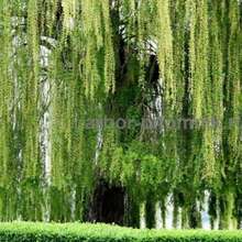 Крупномеры в Москве и Подмосковье с доставкой