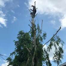 Выполняем все виды строительных работ