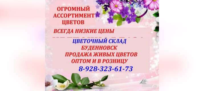 Цветочный склад, опт-розница, низкие цены Буденновск в Будённовске