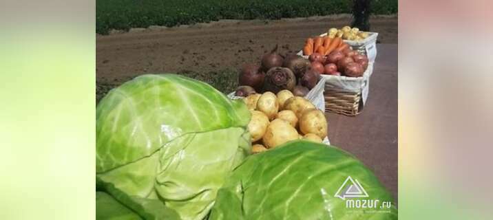 Отборные картошка, морковь, свекла, капуста в Барнауле