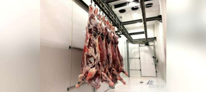 Мясо оптом: говядина, свинина, курятина в Москве