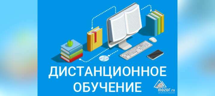 Дистанционное и электронное обучение в частной школе в Москве