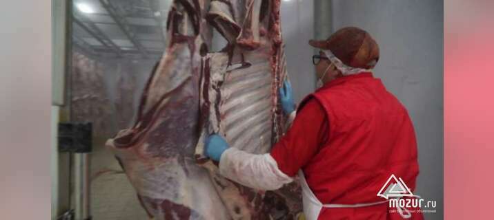 Продажа мяса оптом собственного производства в Оренбурге