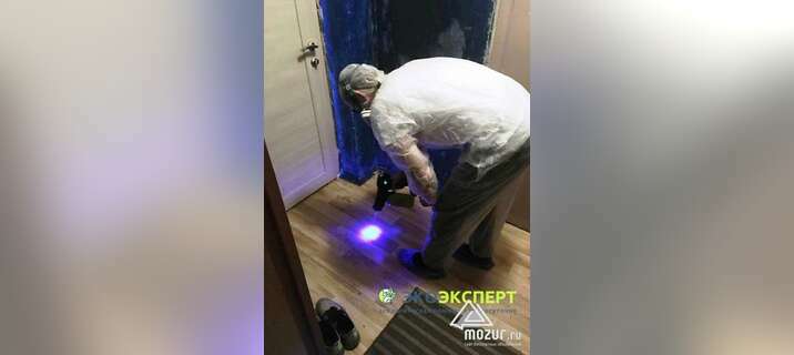 Очистка от ртути. Ликвидация ртутных загрязнений в Москве