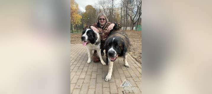 Кинолог: профессиональная дрессировка собак в Москве