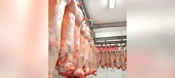 Производство и оптовые продажи мяса в ассортименте в Москве